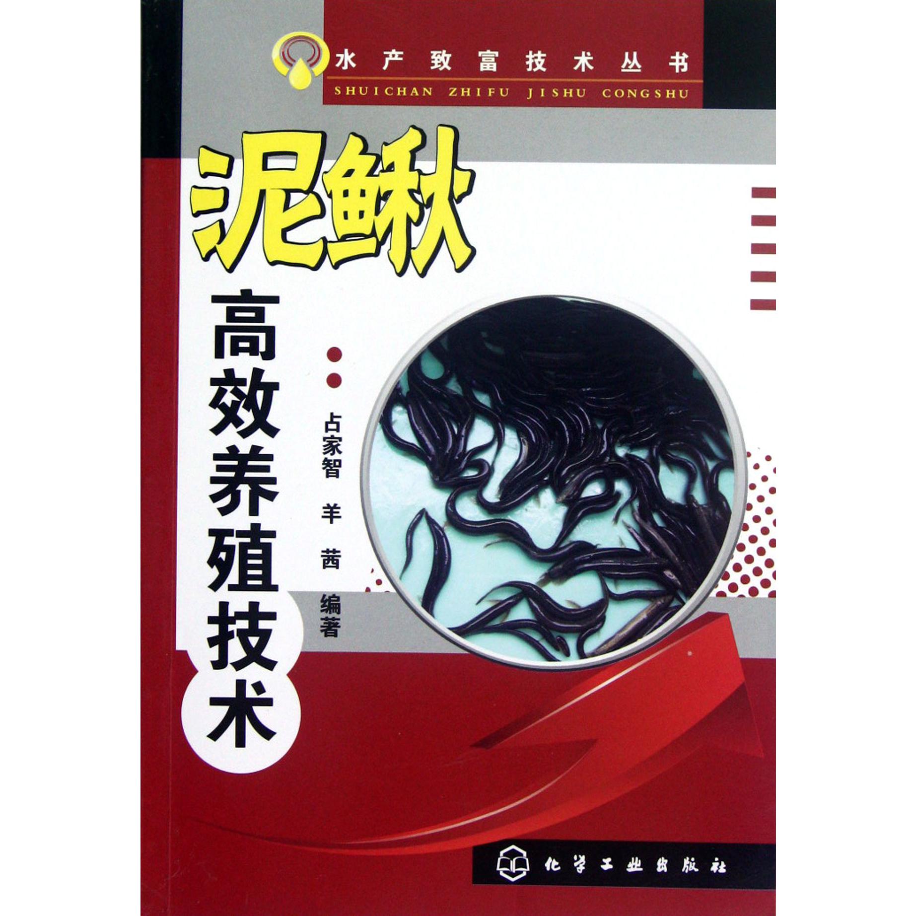 泥鳅高效养殖技术/水产致富技术丛书