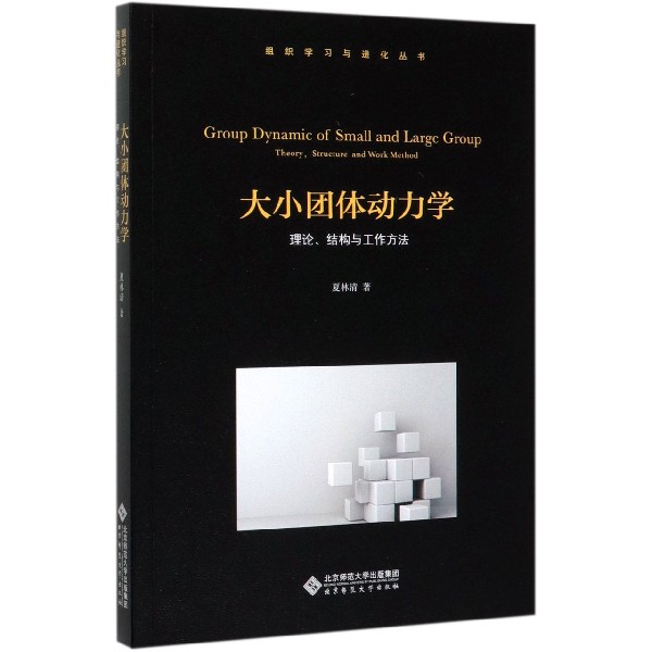 大小团体动力学(理论结构与工作方法)/组织学习与进化丛书