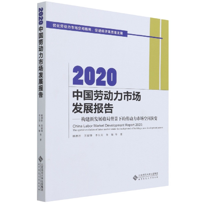 2020中国劳动力市场发展报告--构建新发展格局背景下的劳动力市场空间演变