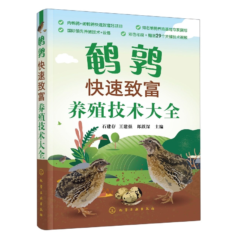 鹌鹑快速致富养殖技术大全