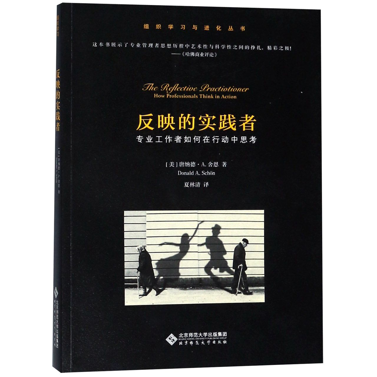 反映的实践者(专业工作者如何在行动中思考)/组织学习与进化丛书