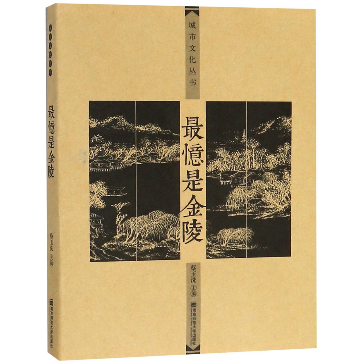 最忆是金陵/城市文化丛书