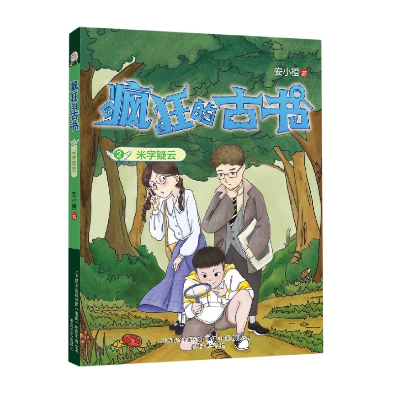 疯狂的古书2：米字疑云
