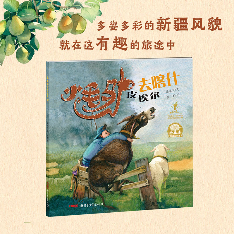 小毛驴皮埃尔去喀什