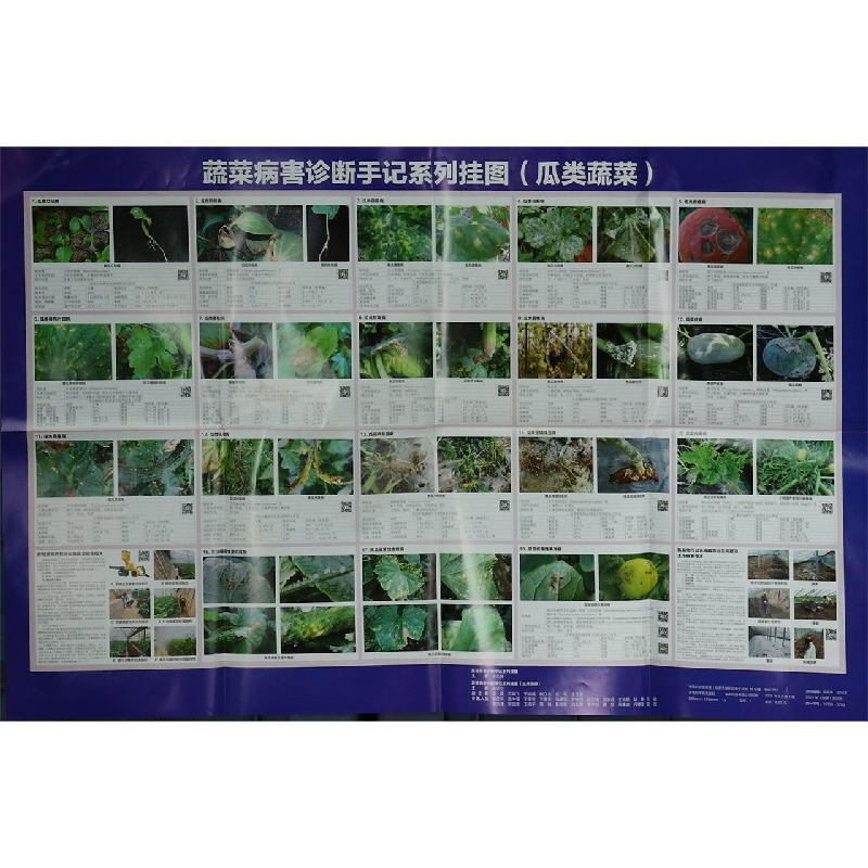 蔬菜病害诊断手记系列挂图（瓜类蔬菜）