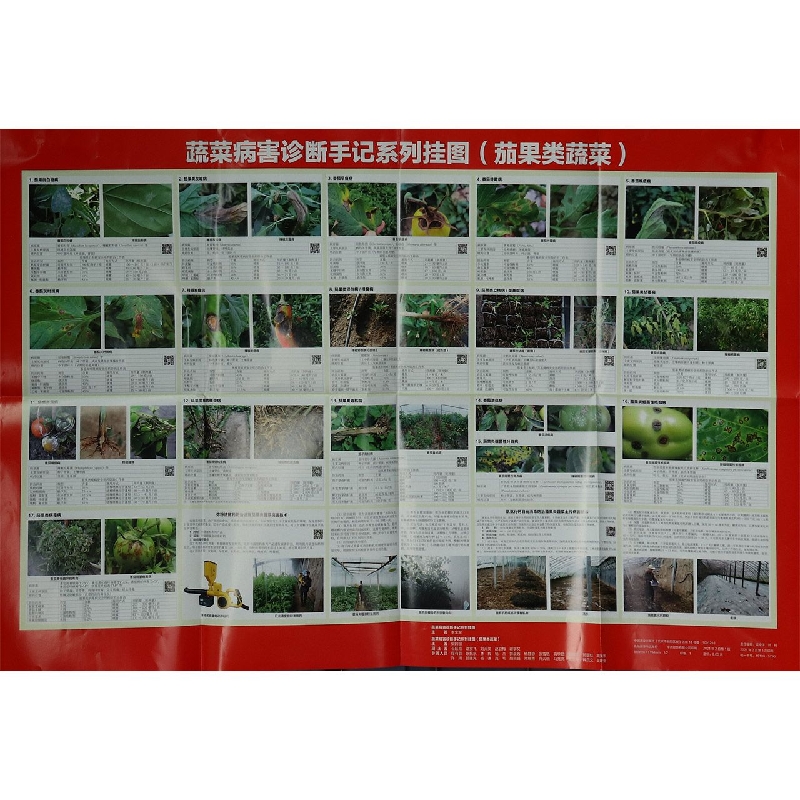 蔬菜病害诊断手记系列挂图（茄果类蔬菜）