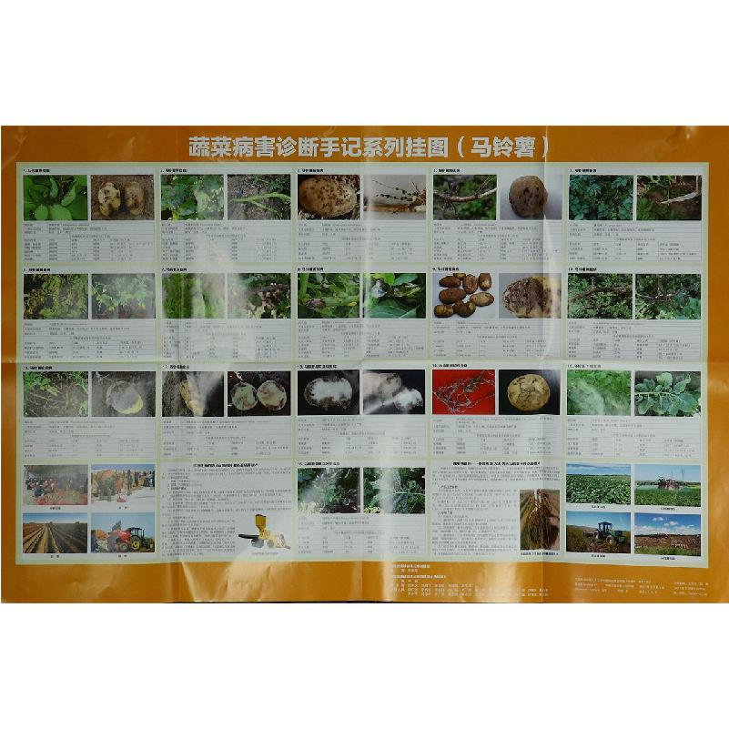 蔬菜病害诊断手记系列挂图（马铃薯）