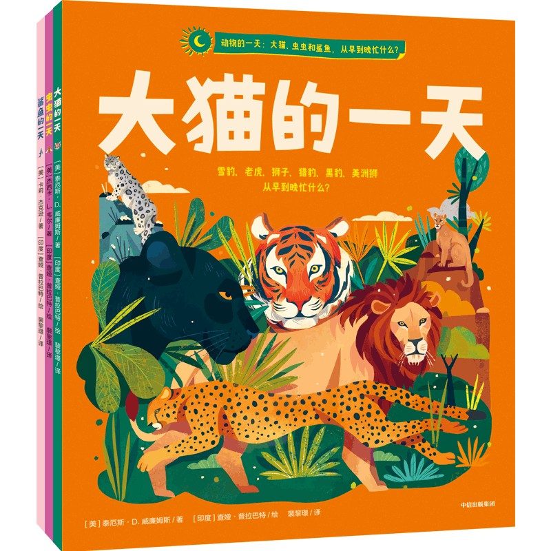 动物的一天:大猫、虫虫和鲨鱼,从早到晚忙什么?