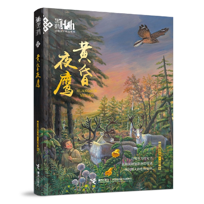 黄昏夜鹰/黑鹤动物文学精品系列