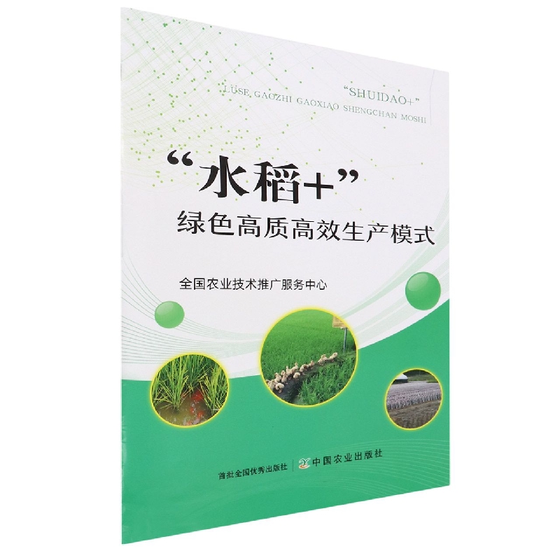 “水稻+”绿色高质高效生产模式