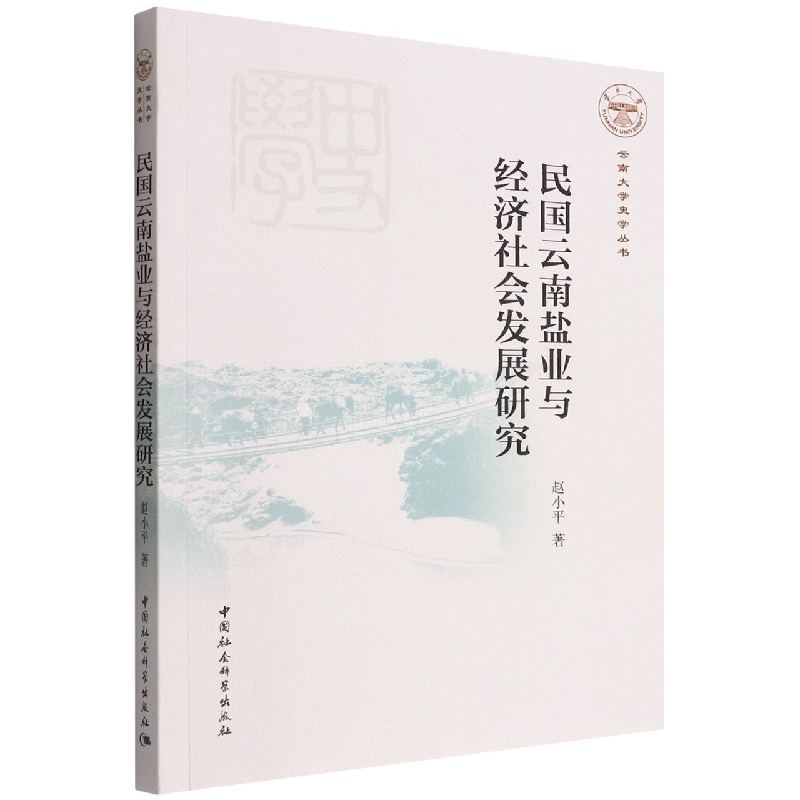 民国云南盐业与经济社会发展研究/云南大学史学丛书