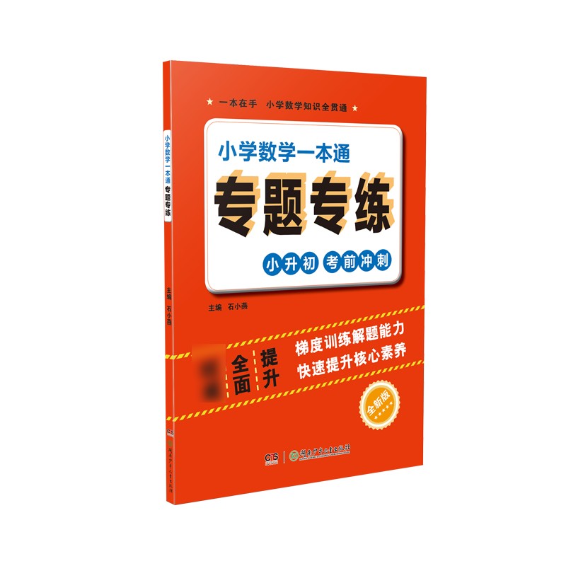 小学数学一本通专题专练(全新版)