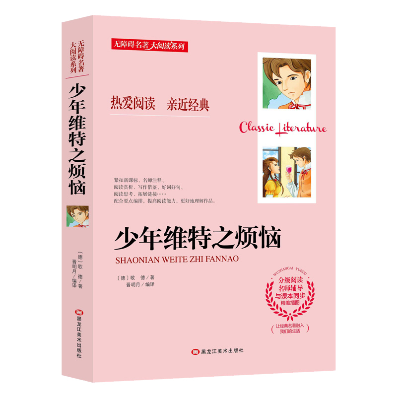 少年维特之烦恼