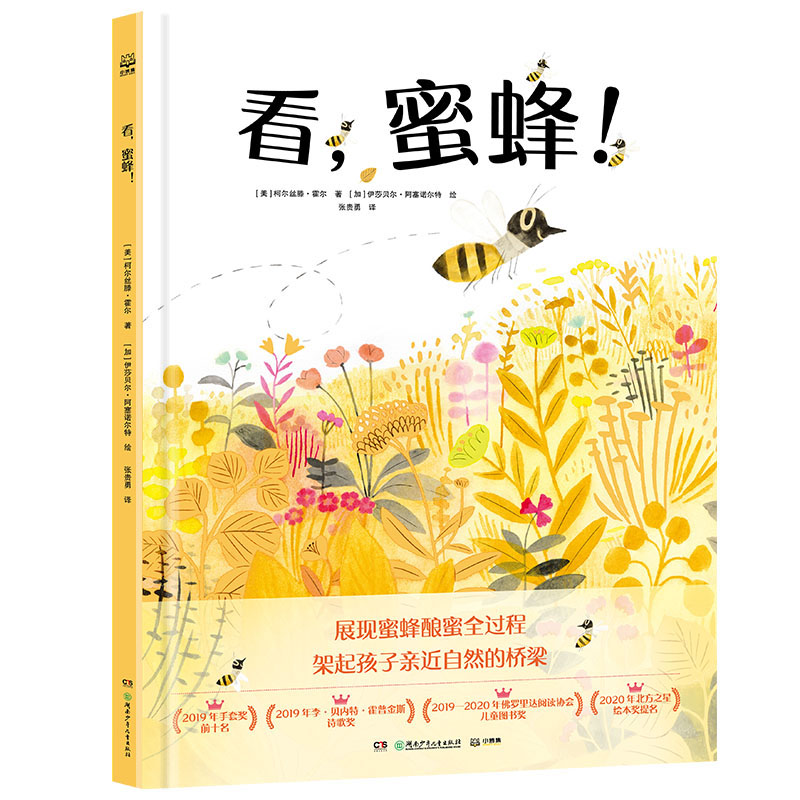 看蜜蜂(精)
