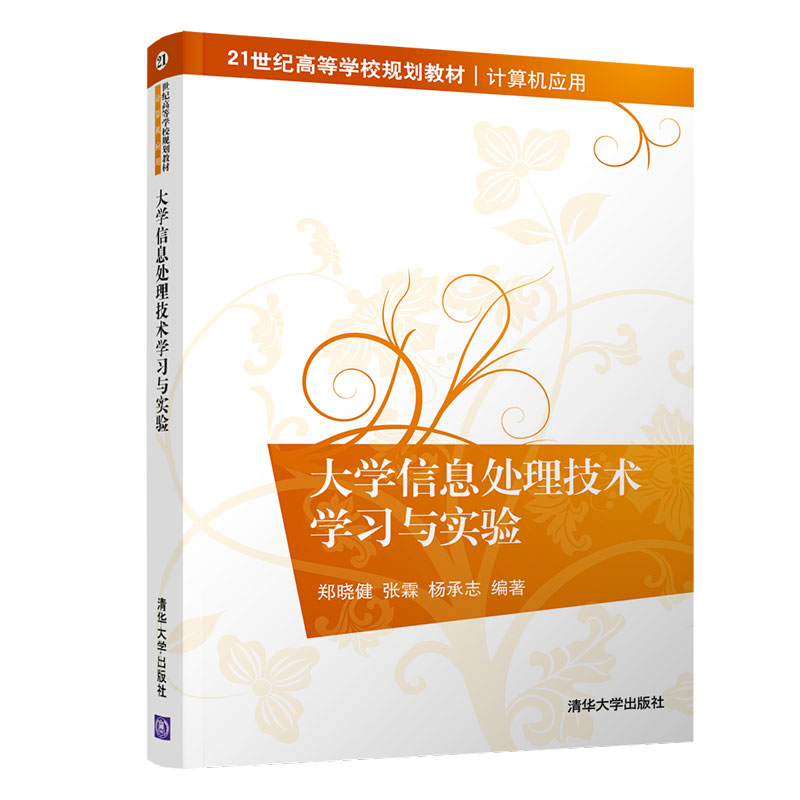 大学信息处理技术学习与实验(计算机应用21世纪高等学校规划教材)