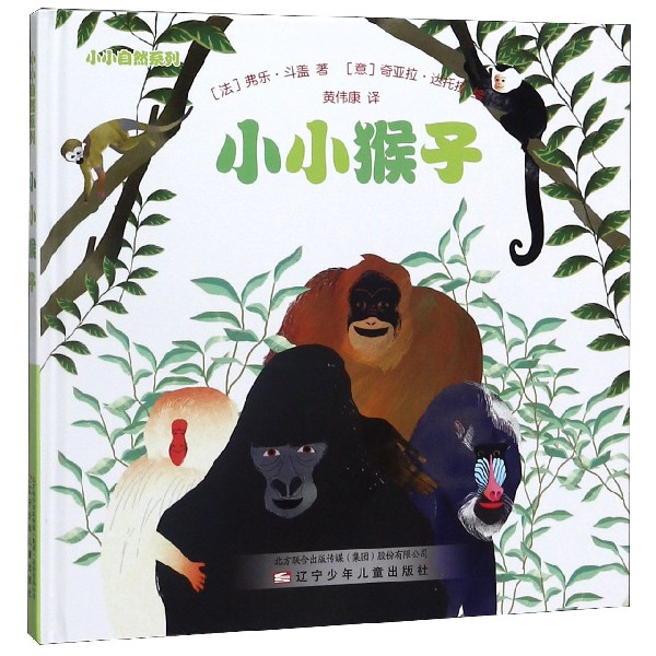 小小猴子(精)/小小自然系列
