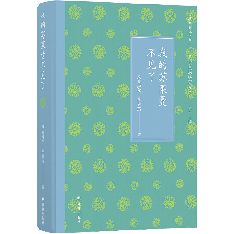 文学共同体书系:我的苏莱曼不见了