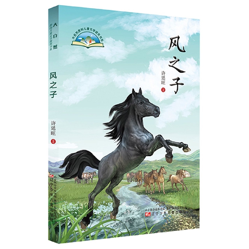 风之子