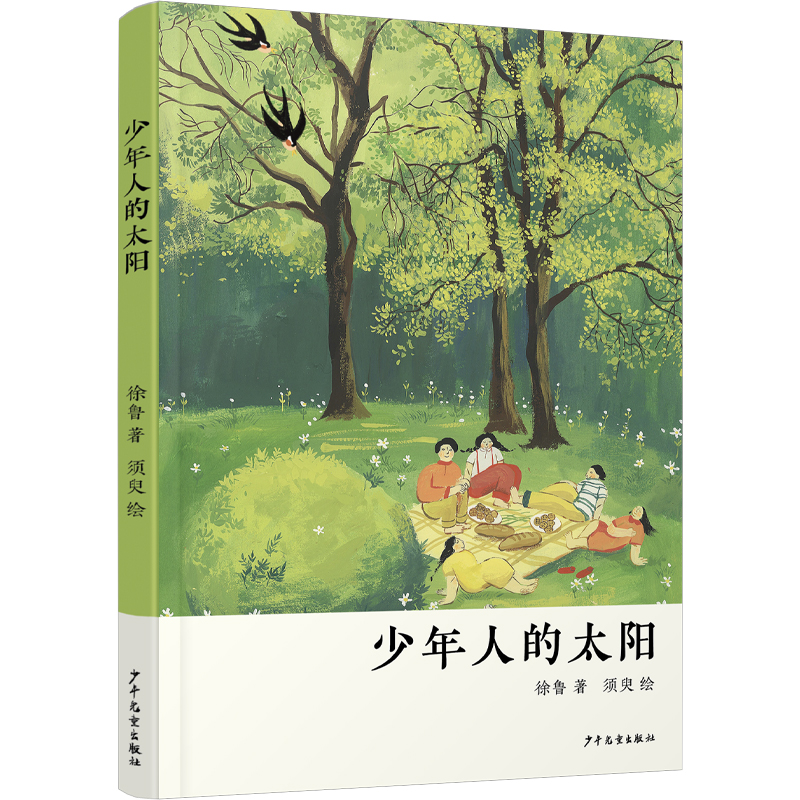 少年人的太阳