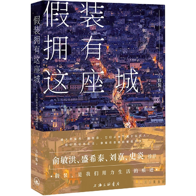 假装拥有这座城