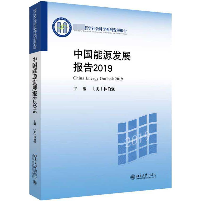 中国能源发展报告(2019 哲学社会科学系列发展报告)