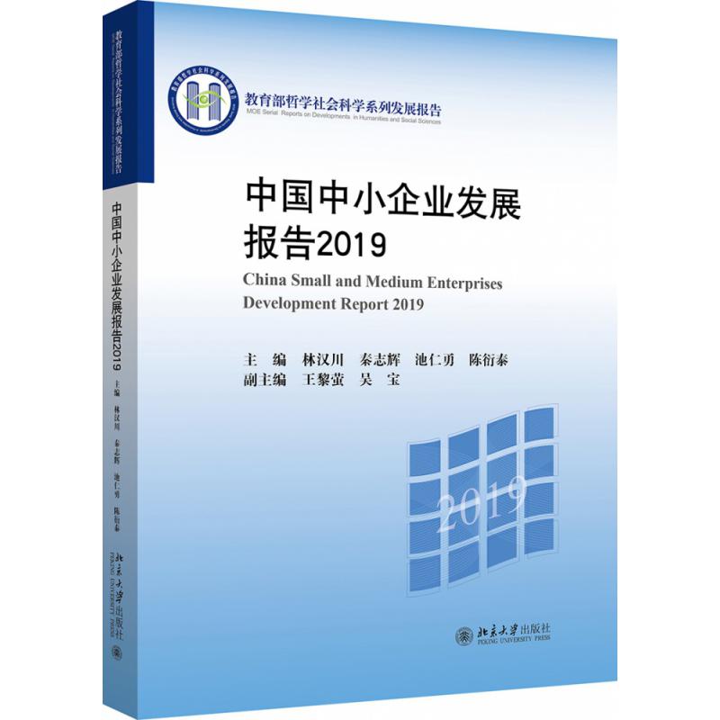 中国中小企业发展报告(2019 哲学社会科学系列发展报告)