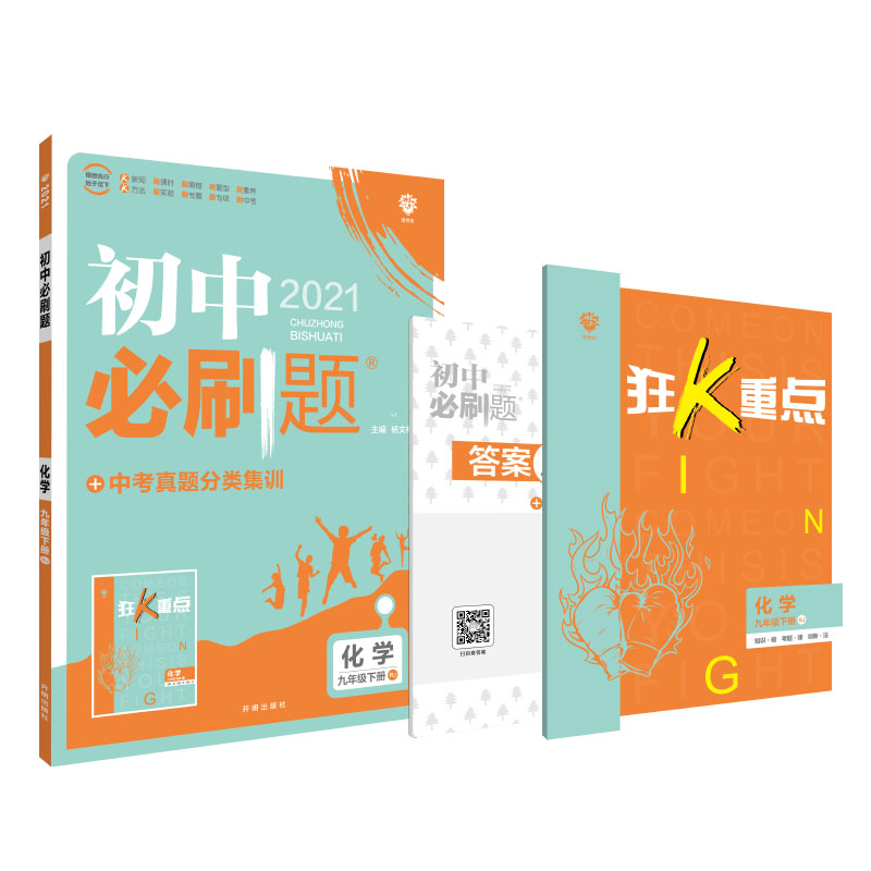 初中必刷题 化学九年级下册 RJ