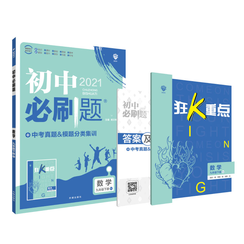 初中必刷题 数学九年级下册 RJ