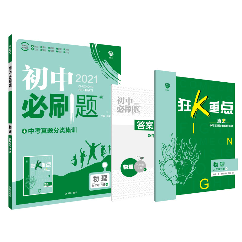 初中必刷题 物理九年级下册 RJ