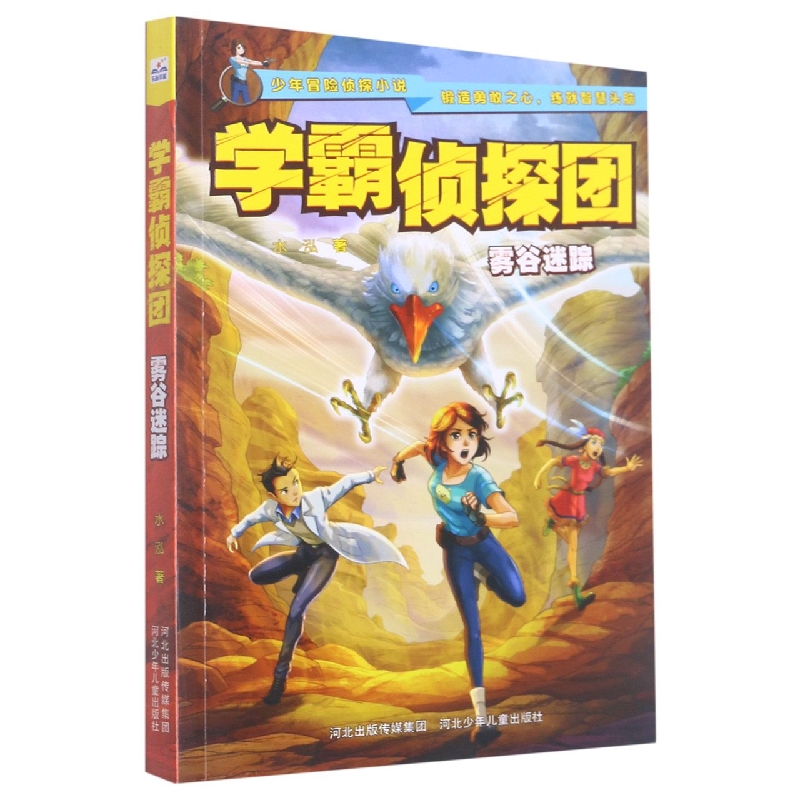 雾谷迷踪