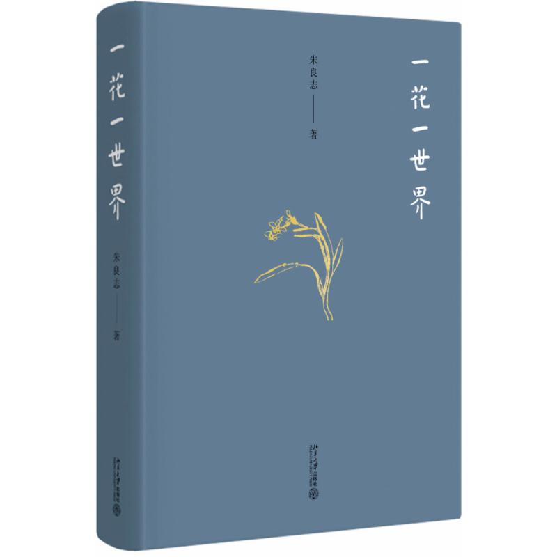 一花一世界