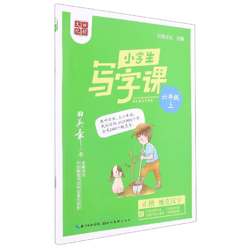 小学生写字课(6上)