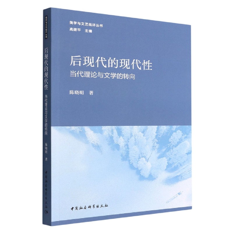 后现代的现代性(当代理论与文学的转向)/美学与文艺批评丛书