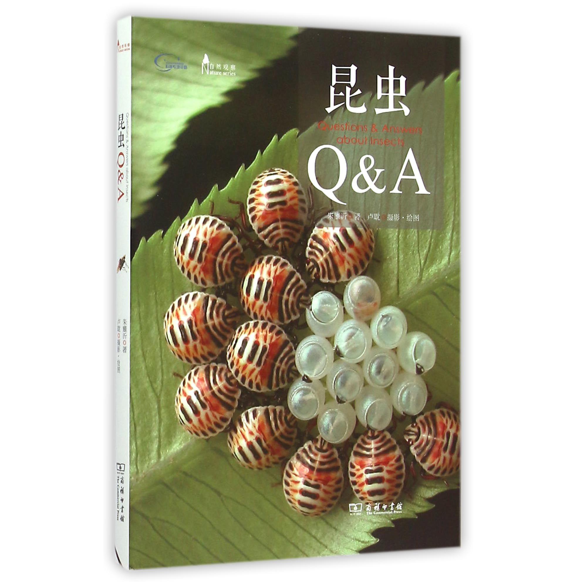 昆虫Q & A(自然观察)