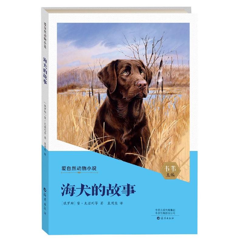 爱自然动物小说 海犬的故事