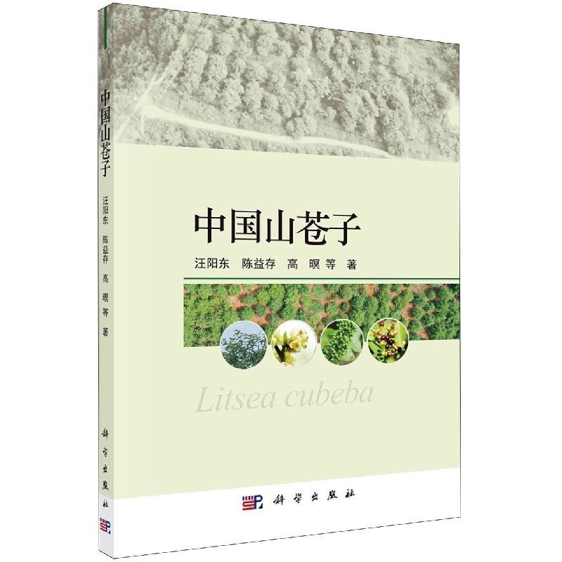 中国山苍子