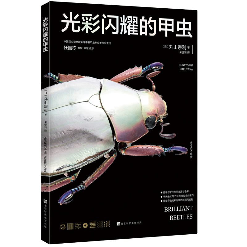 光彩闪耀的甲虫