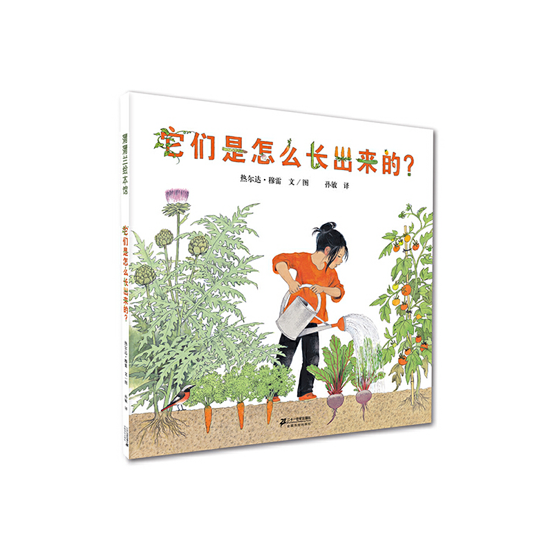 它们是怎么长出来的（精）
