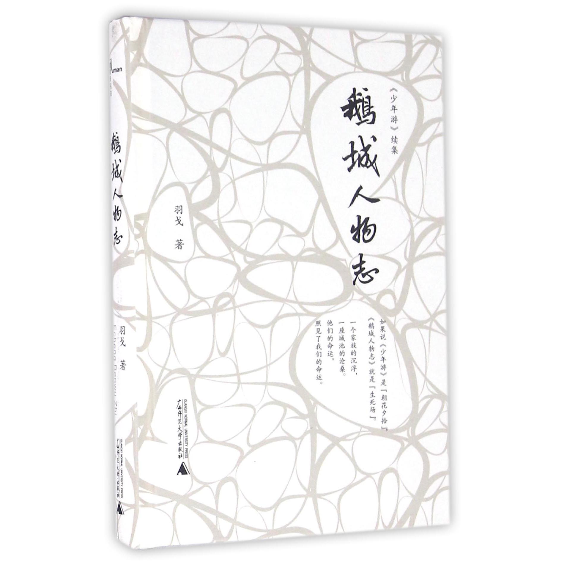鹅城人物志（少年游续集）（精）