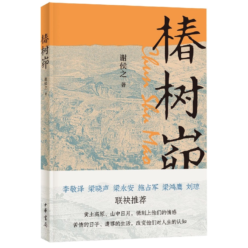 椿树峁