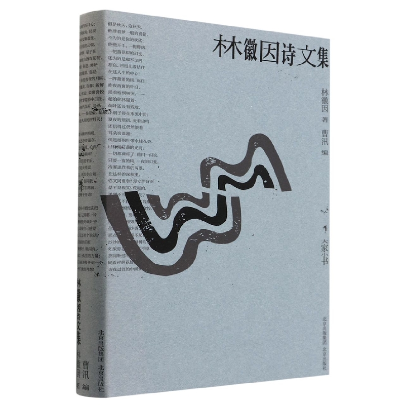 林徽因诗文集/大家小书