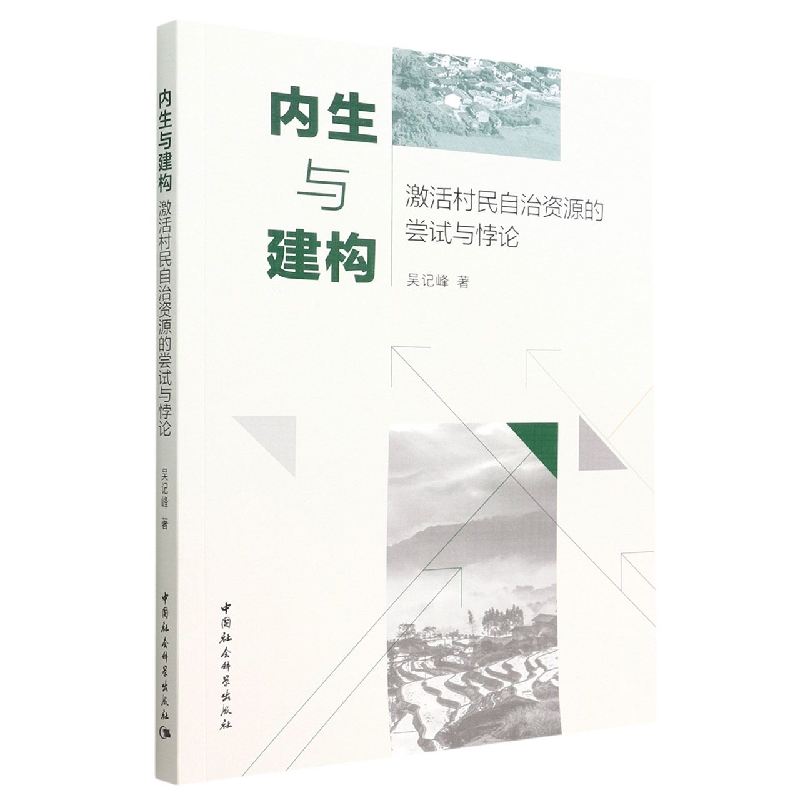 内生与建构(激活村民自治资源的尝试与悖论)