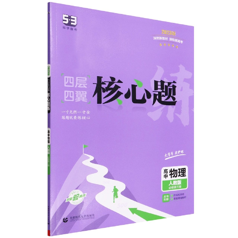 高中物理（人教版必修第3册2023版）/四层四翼核心题练