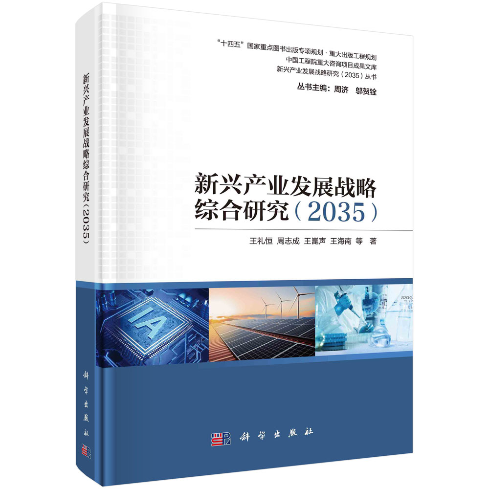 新兴产业发展战略综合研究(2035)/新兴产业发展战略研究2035丛书/中国工程院重大咨询项