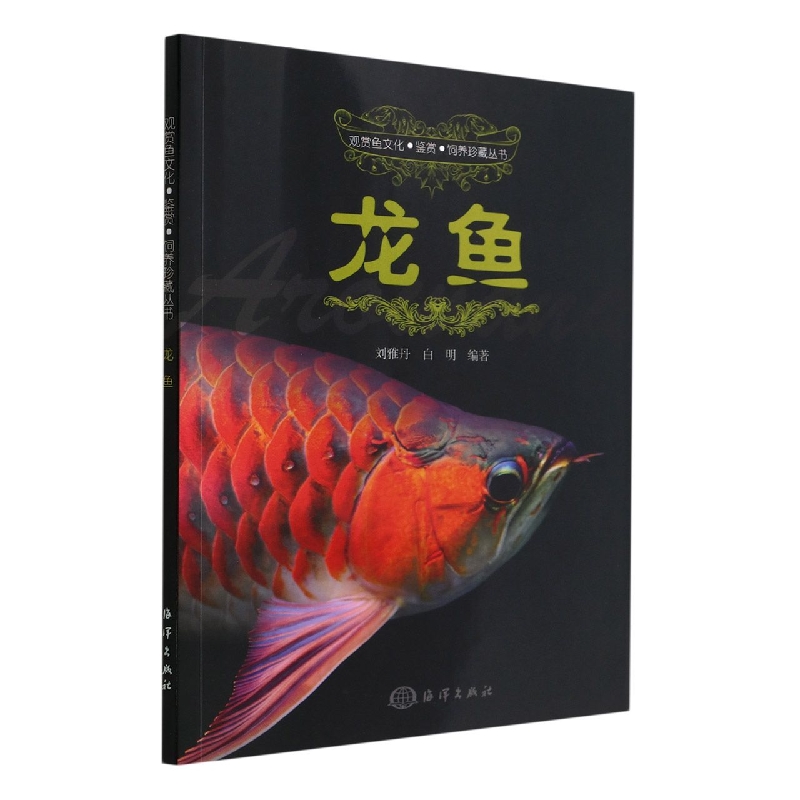 龙鱼/观赏鱼文化鉴赏饲养珍藏丛书
