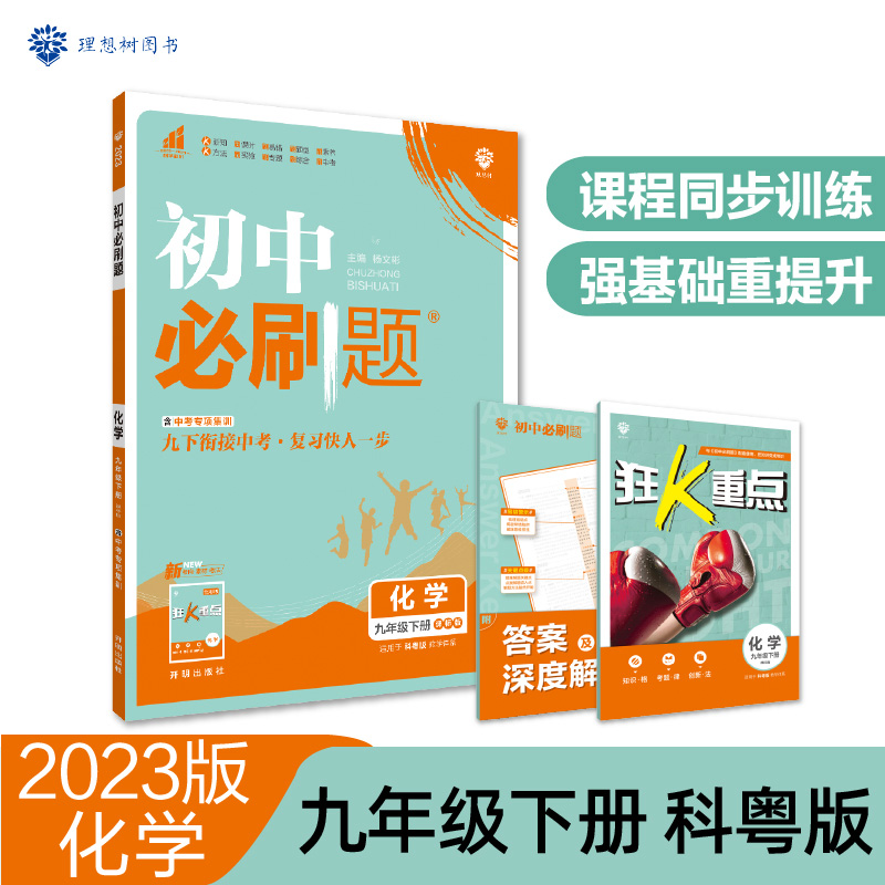 2023初中必刷题 化学九年级下册 KY