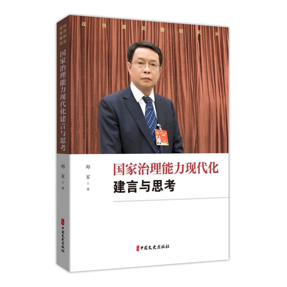 国家治理能力现代化建言与思考