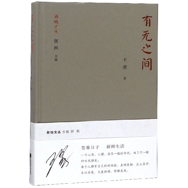 有无之间(精)/新地文丛