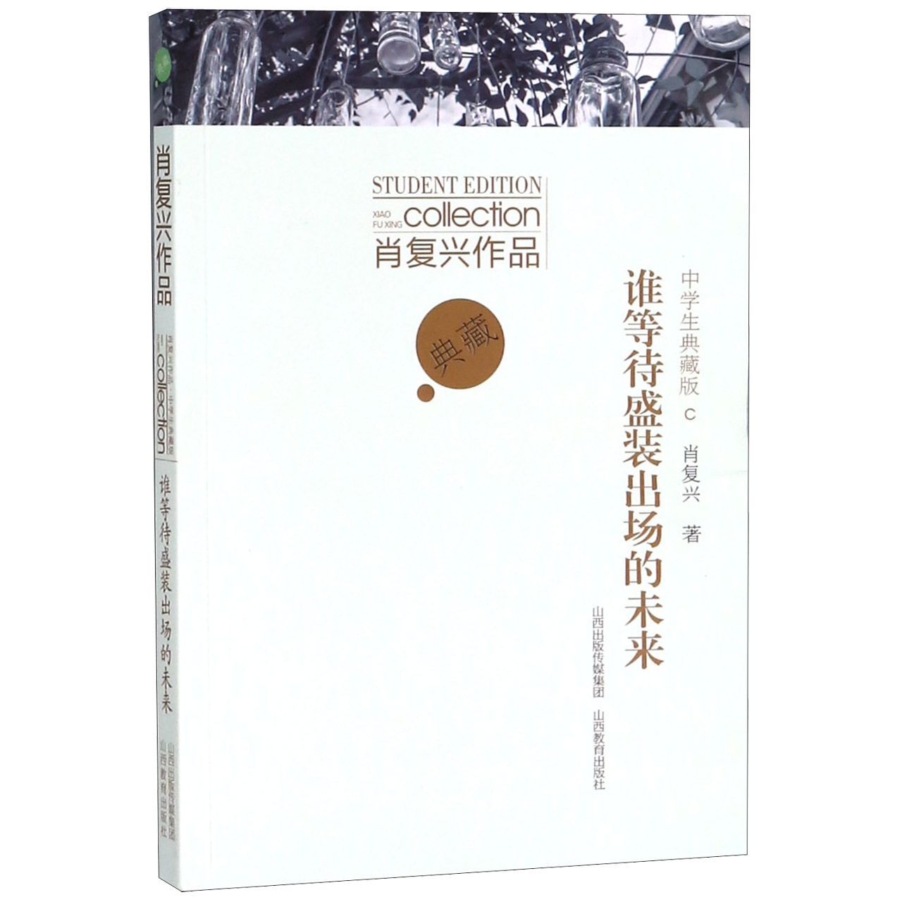 谁等待盛装出场的未来（肖复兴作品中学生典藏版）