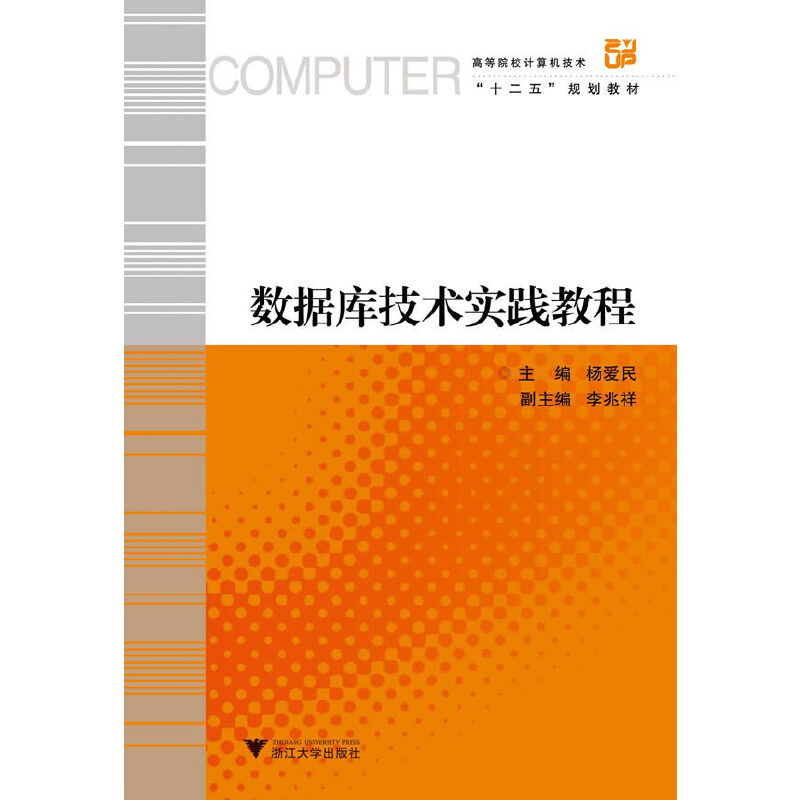 数据库技术实践教程(高等院校计算机技术十二五规划教材)